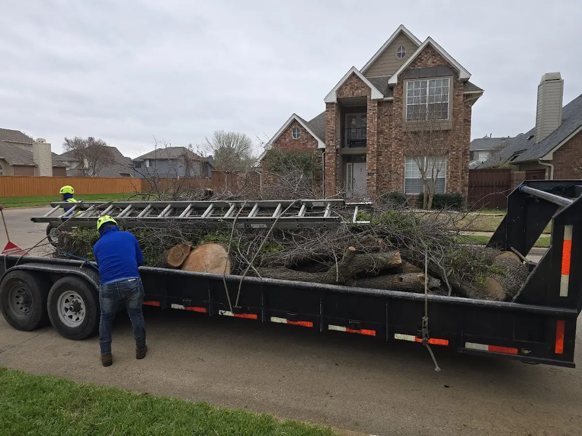 Expert Crown Reduction with proper safety equipment in Simpsonville